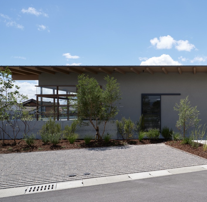 IRODORI イロドリ 