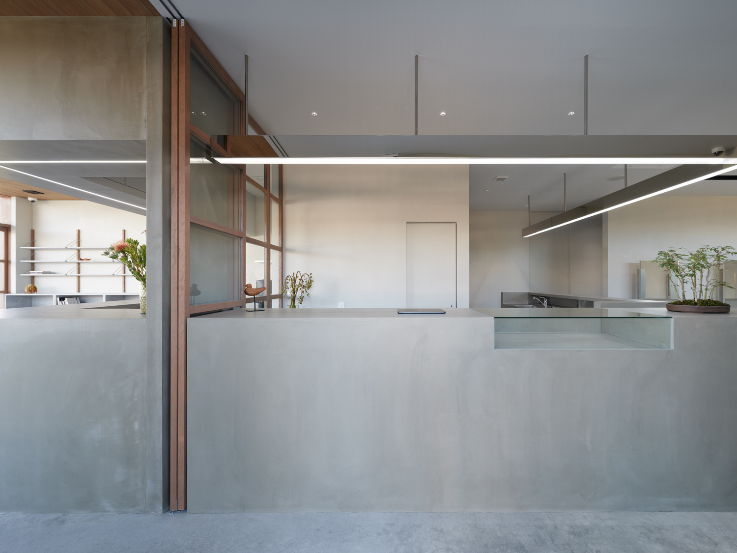 IRODORI イロドリ 